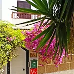 Casa Sarita - Farbenfrohes Apartament *