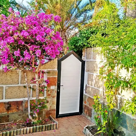 Appartement Casa Sarita - Farbenfrohes *