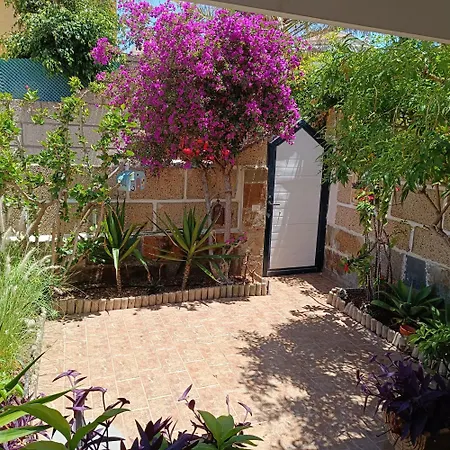 Casa Sarita - Farbenfrohes *